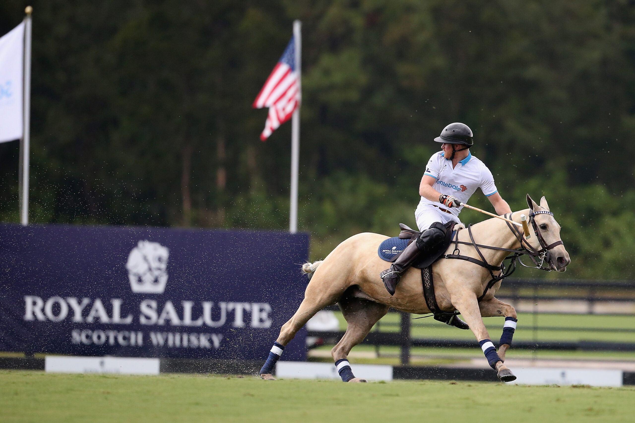 Sentebale Royal Salute Polo Cup In Palm Beach With Prince Harry - Polo